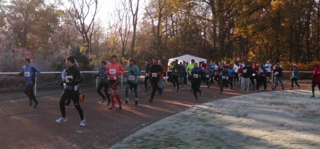 Rückblick auf den Mannschaftslauf 2016 Rückblick auf den Mannschaftslauf 2016